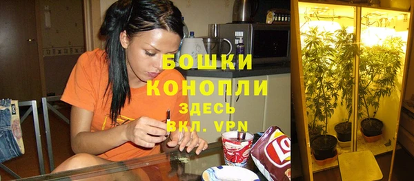 ешки Богородицк