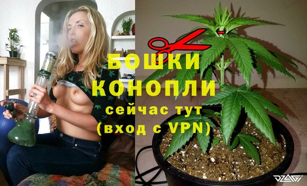 прущий лед Бронницы