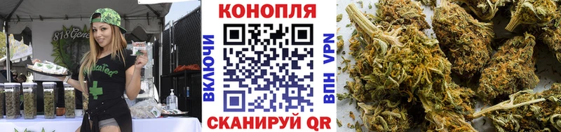 как найти наркотики  Игра  Бошки марихуана MAZAR 